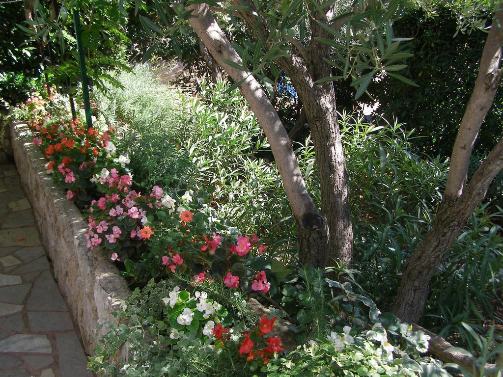 Apartments Dunoti كرك المظهر الخارجي الصورة
